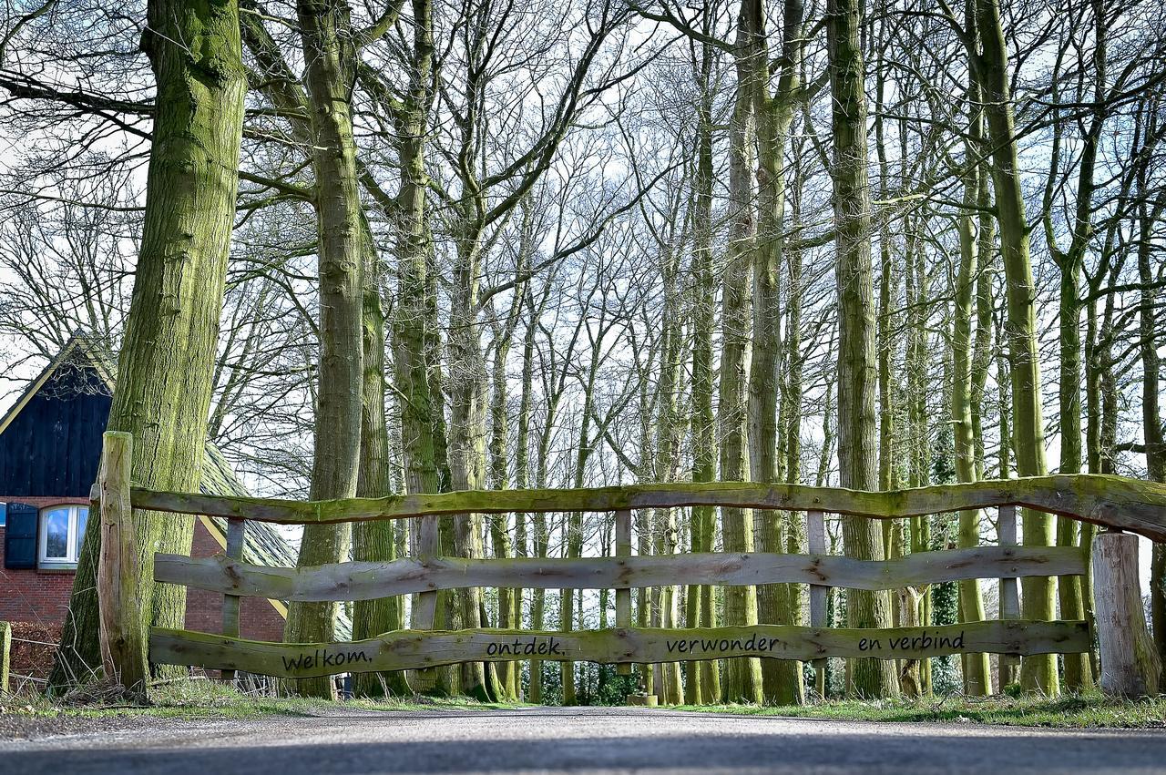 De Woeste Wieven Op Erve Bonkert Diepenheim Extérieur photo